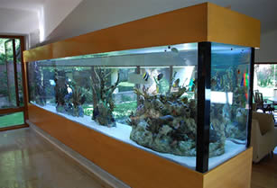 acuario